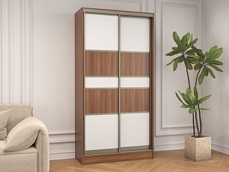 Шкаф-купе Лагуна 3