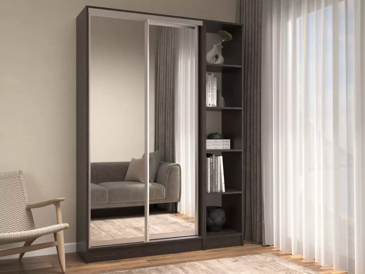 Шкаф-купе Рамир Байкал 1