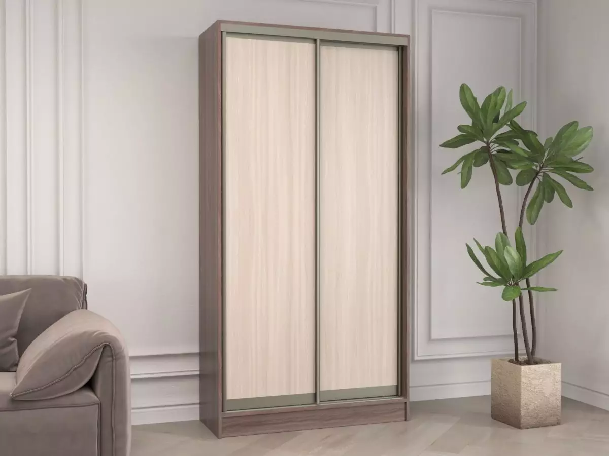 Шкаф-купе Лагуна 20